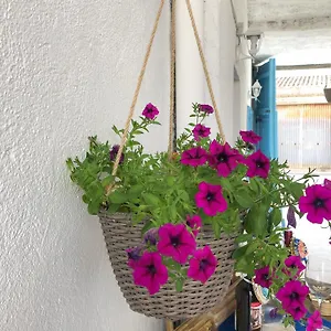 Bed & Breakfast Le Janas